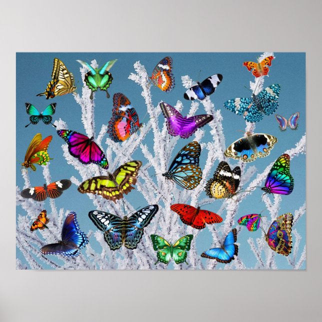 Butterflies on the branches. Nature. Scenery. Poster (Front)