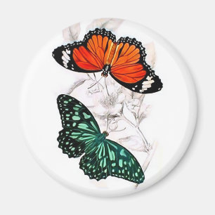 Butterflies - Orange and Green Magnet