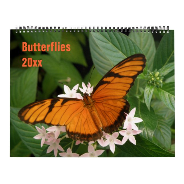 Butterflies Personalised Calendar (Cover)