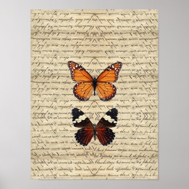 butterflies poster (Front)