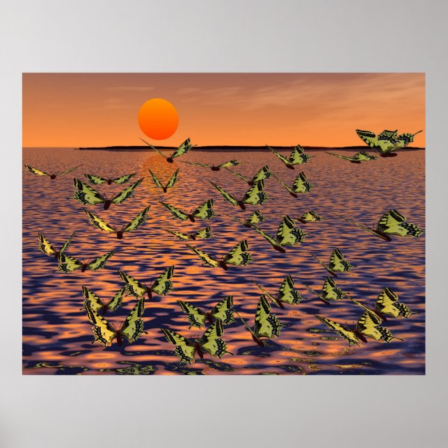 Butterflies Poster (Front)