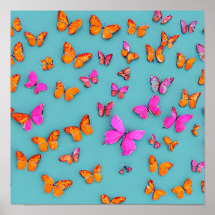 Butterflies poster