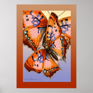 Butterflies red blue abstract painting poster