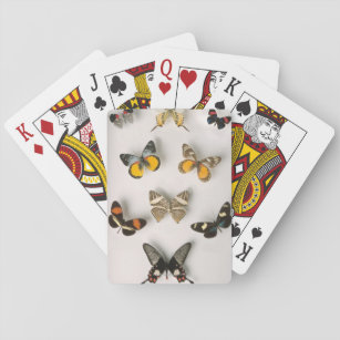 Butterflies scattered playing cards