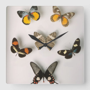 Butterflies scattered square wall clock