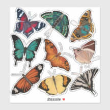 Butterflies (Sheet 3 Alphabet of Butterflies)