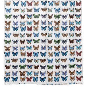 Butterflies Shower Curtain