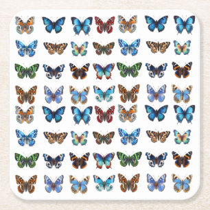 Butterflies Square Paper Coaster