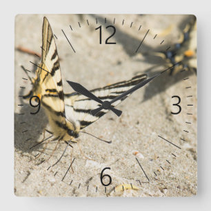 Butterflies Square Wall Clock