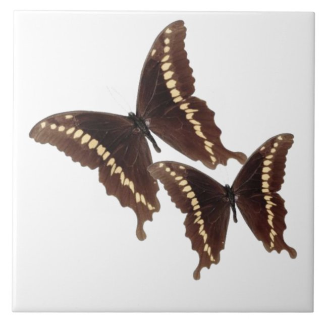 Butterflies Tile (Front)