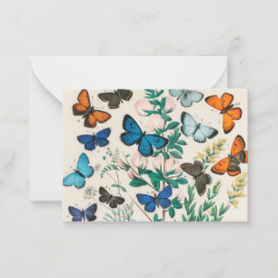Butterflies, vintage illustration card