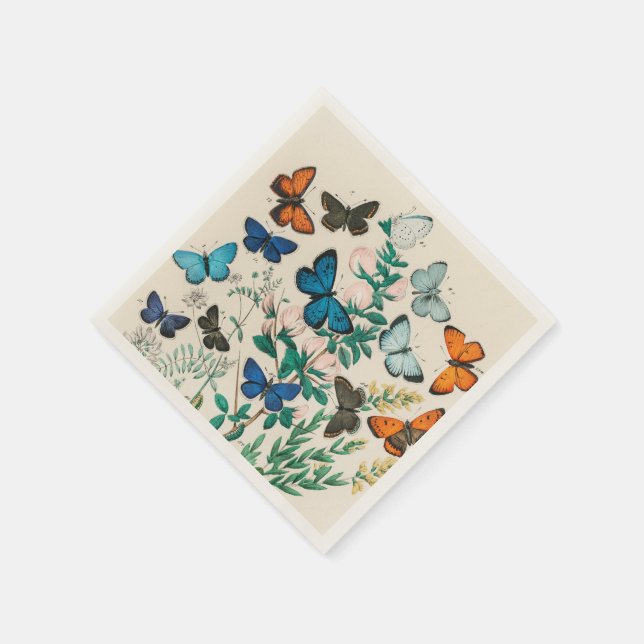 Butterflies, vintage illustration, napkin (Corner)