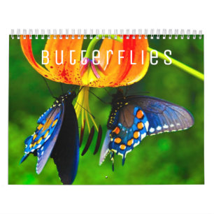 Butterflies Wall Calendar
