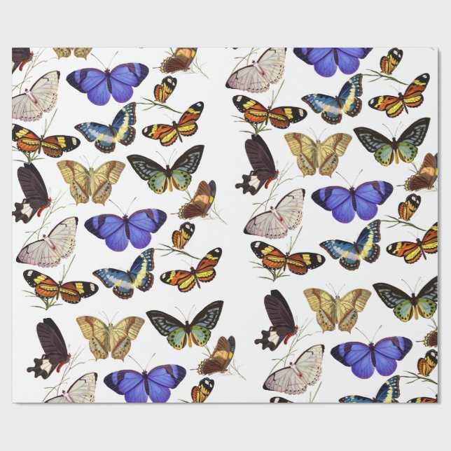 Butterflies Wrapping Paper (Flat)