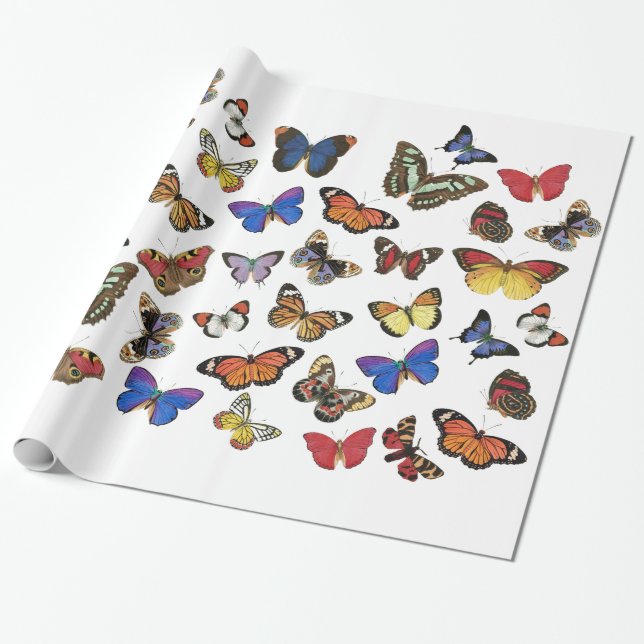 Butterflies Wrapping Paper (Unrolled)