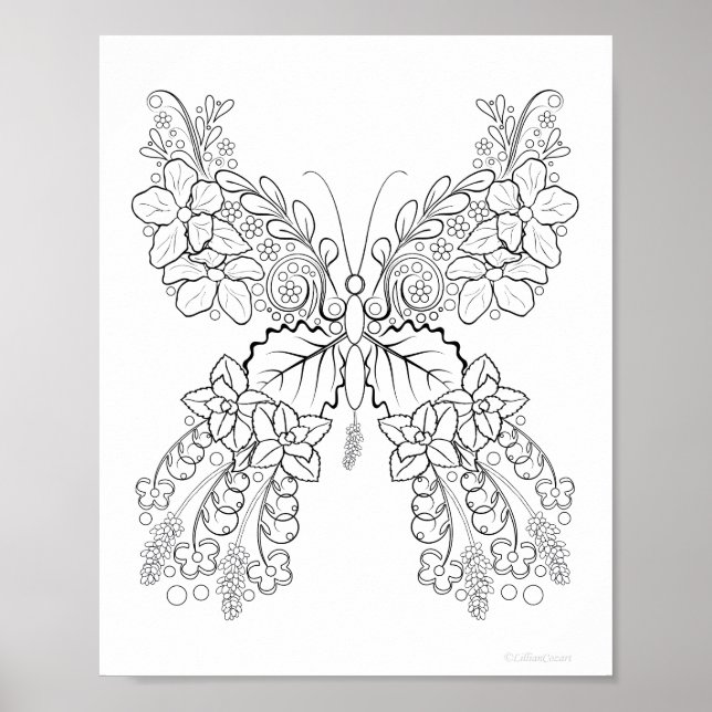 Butterflowers #2 Detailed Colouring Poster (Front)