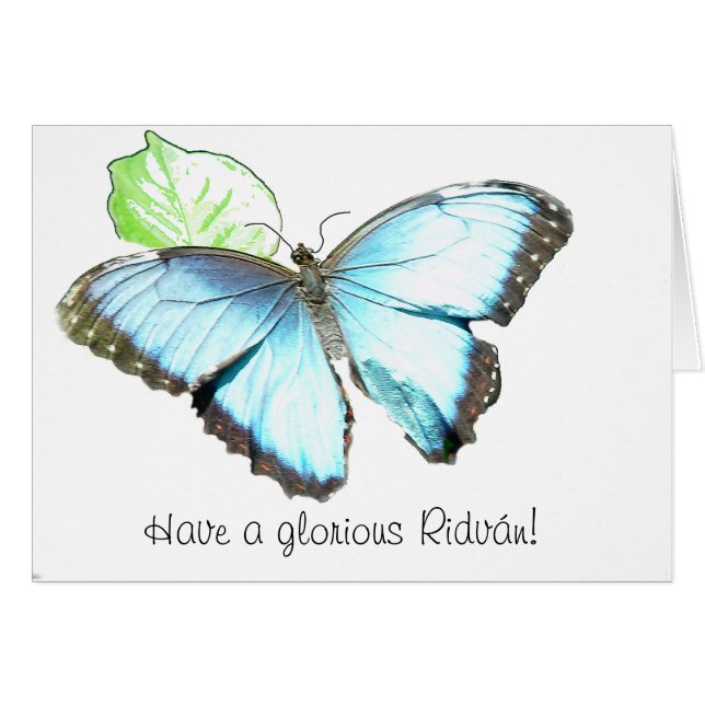 Butterfly (Front Horizontal)