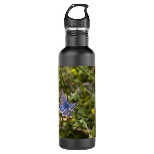 Butterfly 1 710 ml water bottle (Front)