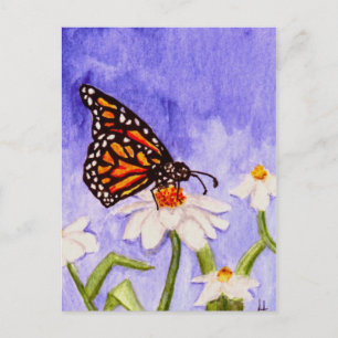Butterfly 1 Postcard