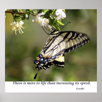 Butterfly 1 poster