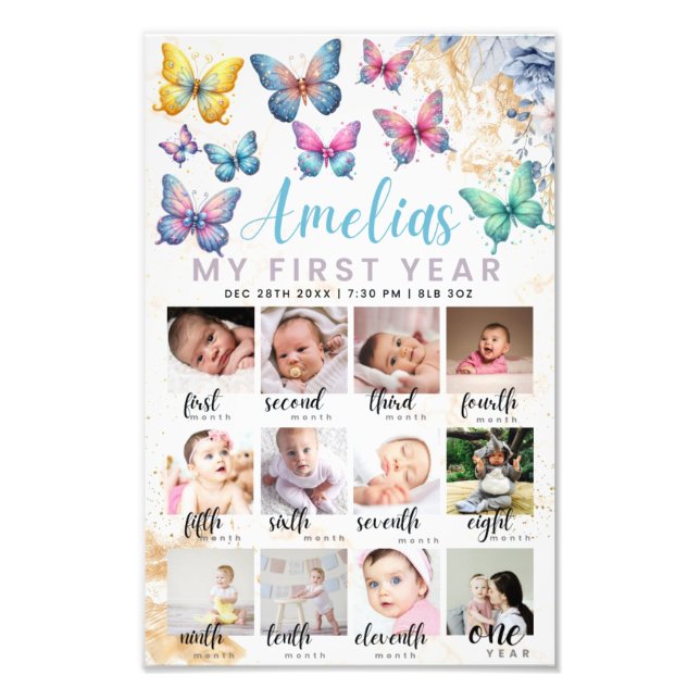 Butterfly 1st Birthday Photo Poster  (Front)