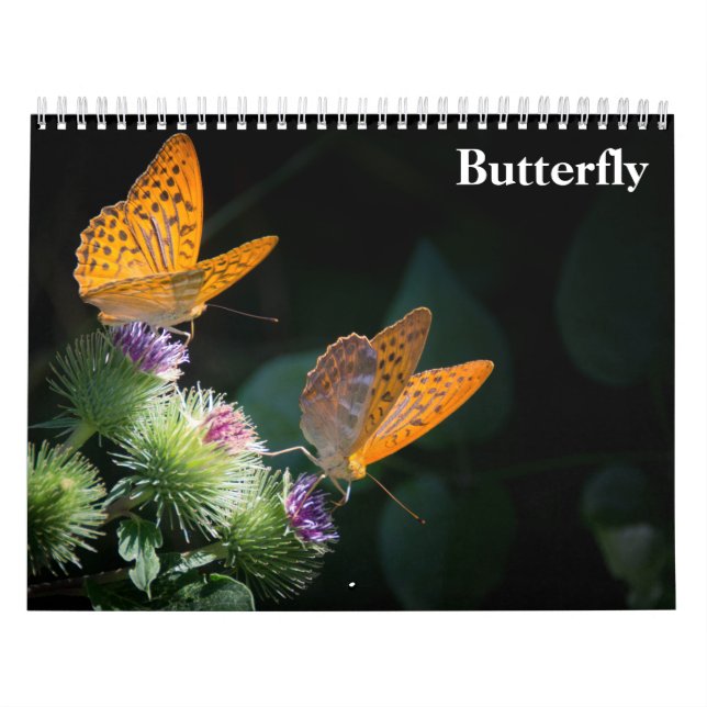 Butterfly 2026 calendar (Cover)