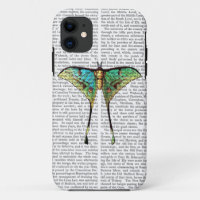 Butterfly 2