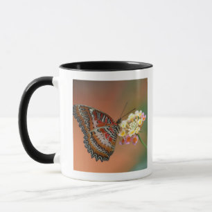 butterfly 2 mug