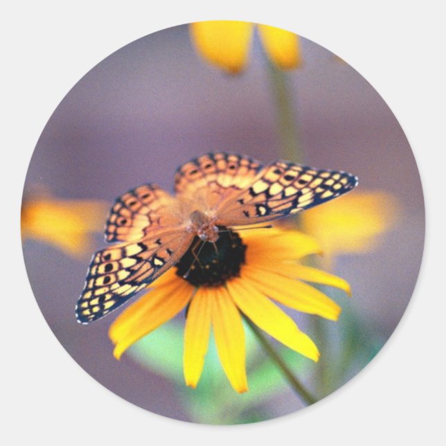 butterfly 3 classic round sticker (Front)