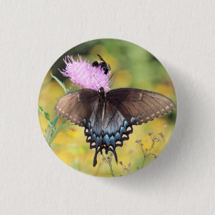 Butterfly   3 cm round badge