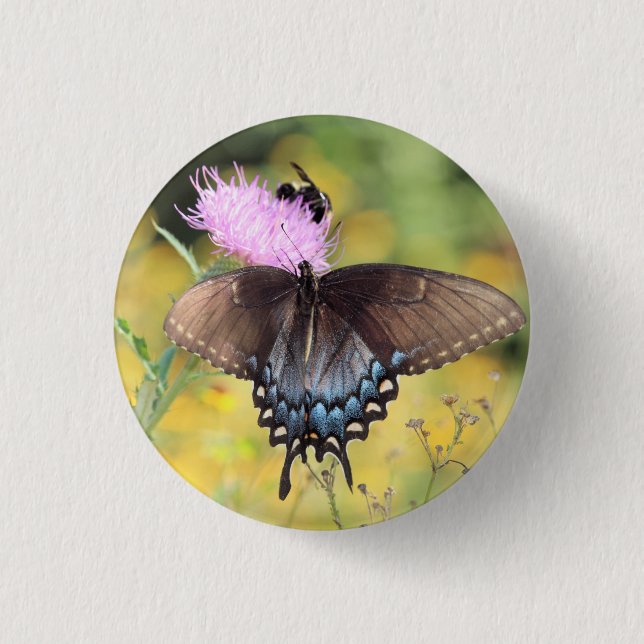 Butterfly   3 cm round badge (Front)