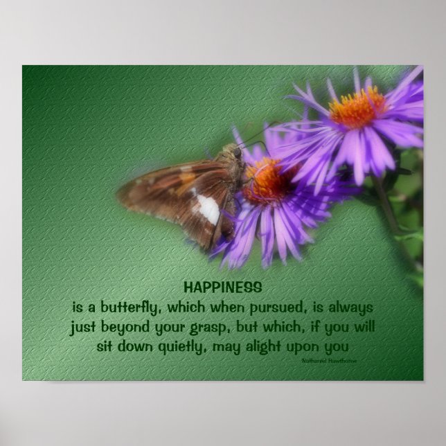 Butterfly 5 Happiness Inspirational Quote Nature Poster (Front)