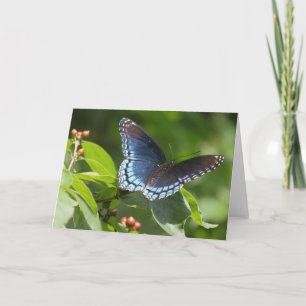 Butterfly 7 x 5 Folded Greeting Card - blank