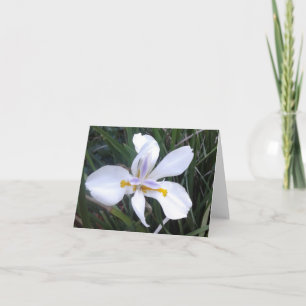 Butterfly African Iris Photo Folded Note Card