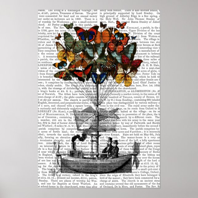 Butterfly Airship Poster (Front)
