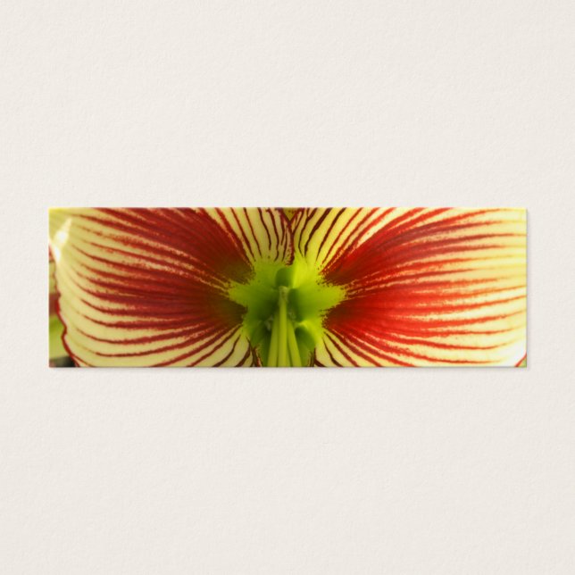 Butterfly Amaryllis Bookmark (Front)