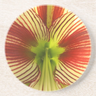 Butterfly Amaryllis Coaster
