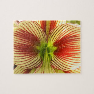 Butterfly Amaryllis Jigsaw Puzzle