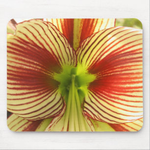 Butterfly Amaryllis Mouse Mat