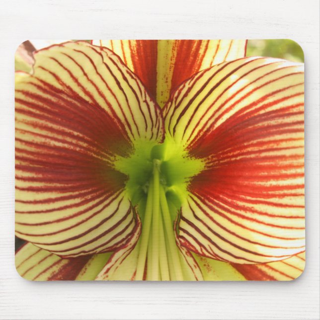 Butterfly Amaryllis Mouse Mat (Front)