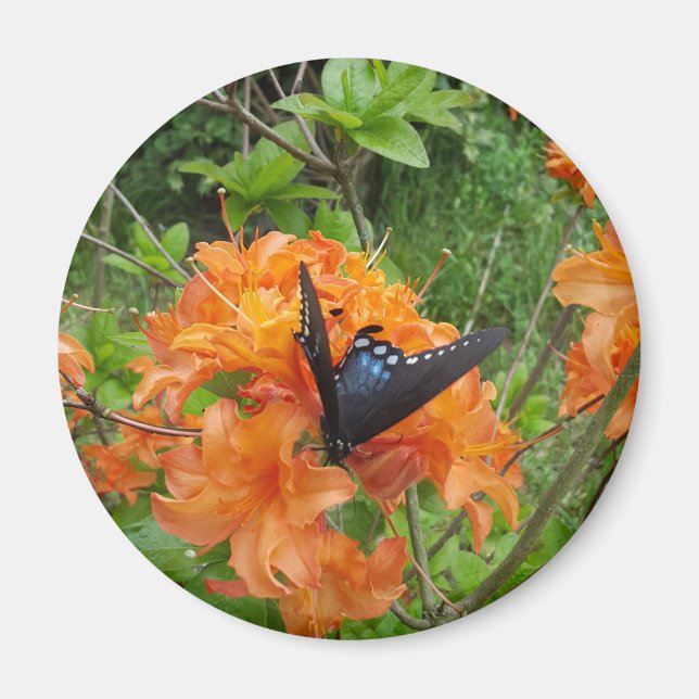butterfly and azalea magnet (Front)