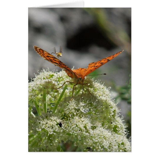 Butterfly and Bee, Blank Greeting Card