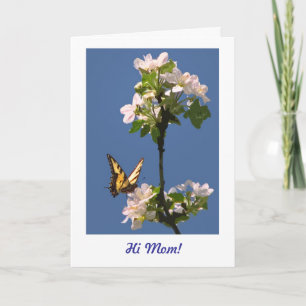 Butterfly and Blossoms for Mum Card