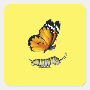 Butterfly and  caterpillar square sticker