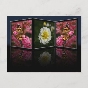 Butterfly and Dahlia Postcard