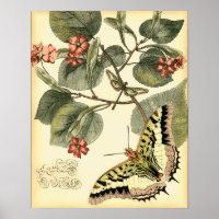 Butterfly and Dragonfly with Red Flowers