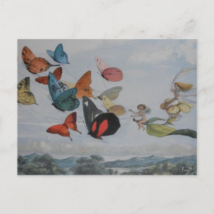 Butterfly and Fairy Queen Butterflies Fairies Postcard