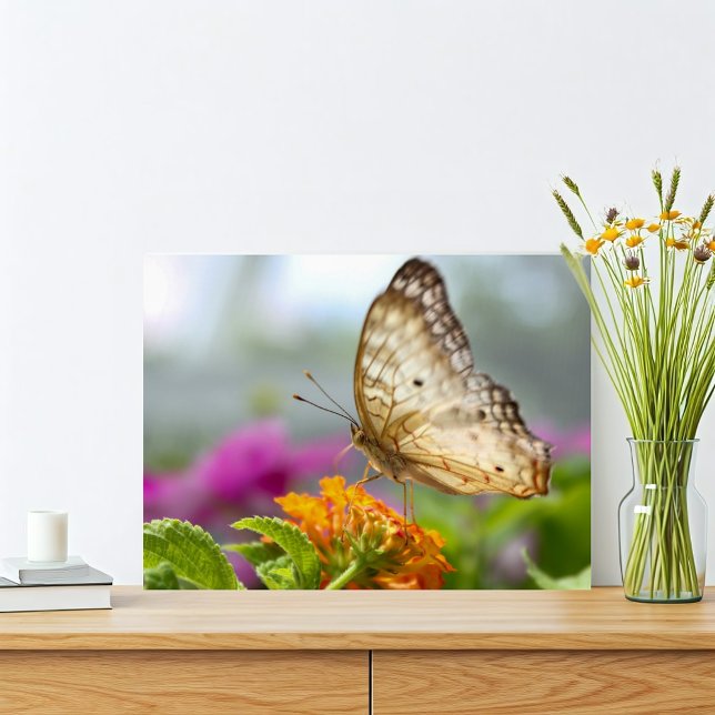 Butterfly and Flower Close-up Photo  (Tropical butterfly nature print with orange and purple pink flowers. Simple and vibrant.)