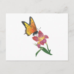 Butterfly and Flower Postcard