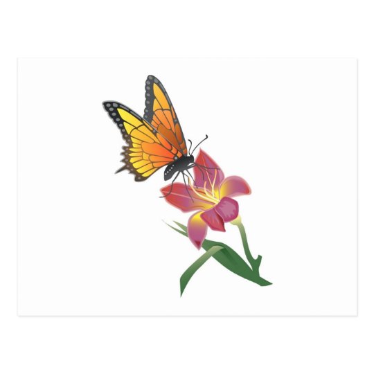 Butterfly and Flower Postcard